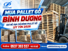 Mua Pallet Gỗ Bình Dương Giá Rẻ: Địa Chỉ Đóng Pallet Gỗ Uy Tín 2026