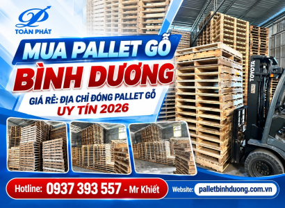 Mua Pallet Gỗ Bình Dương Giá Rẻ: Địa Chỉ Đóng Pallet Gỗ Uy Tín 2026